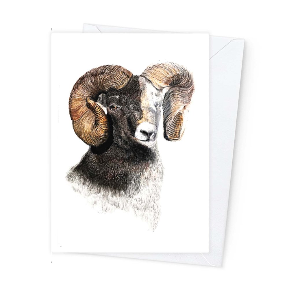 Páipéar Cards - Iconic Animals Folder of 6